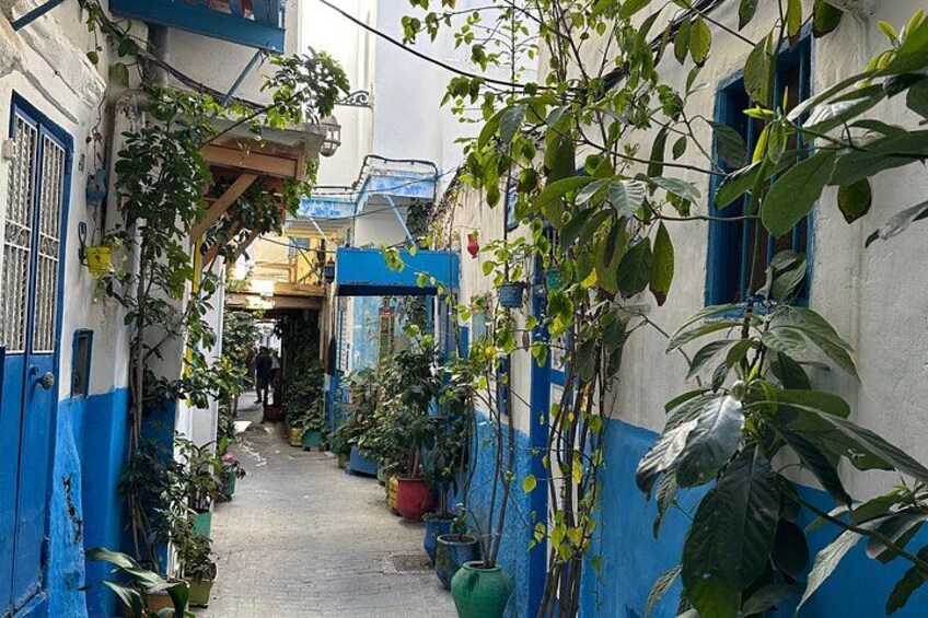 Un estrecho callejón con edificios pintados de azul, plantas en macetas y enredaderas colgantes. 4