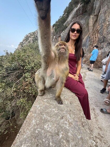 A person sitting on a stone ledge with a monkey reaching up towards them. 5