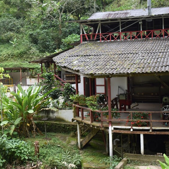 A rustic house with a tiled roof, surrounded by lush greenery and a small staircase leading to a porch. 4