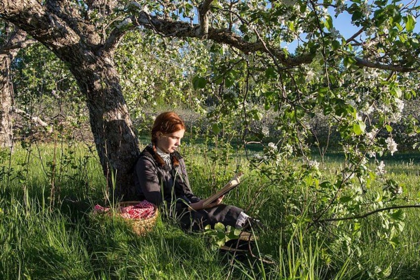 A person sitting on the grass under a tree in a park. 4