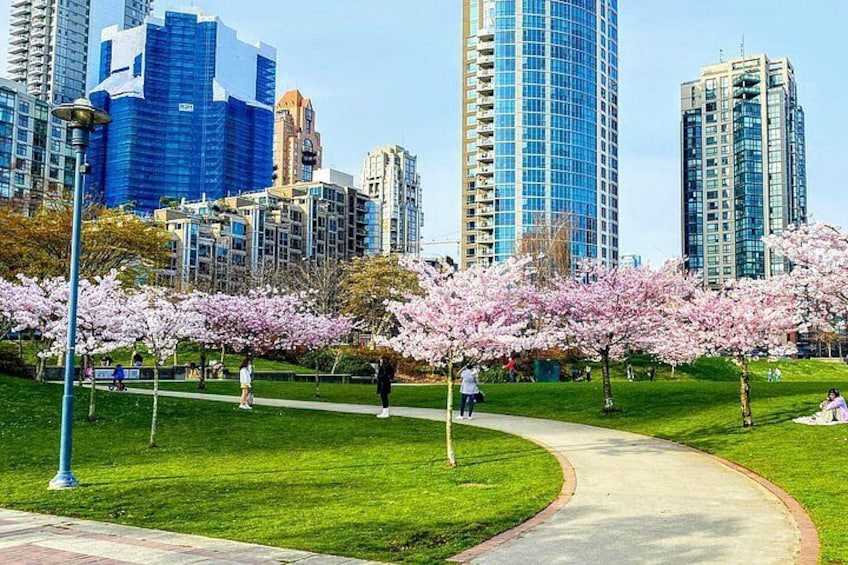 Vancouver Golf and City Highlights 1