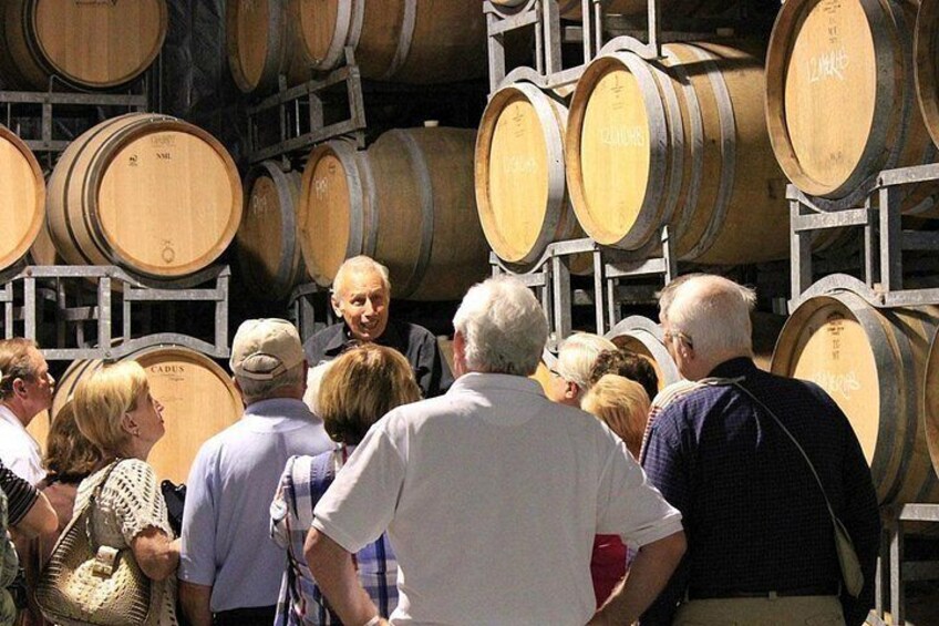 Private Half-Day Tour of Auckland's Wine Country - Vines out west 5