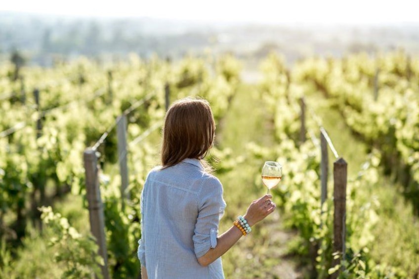 Private Tour of Auckland's Wine Country - A Taste Of The West 2