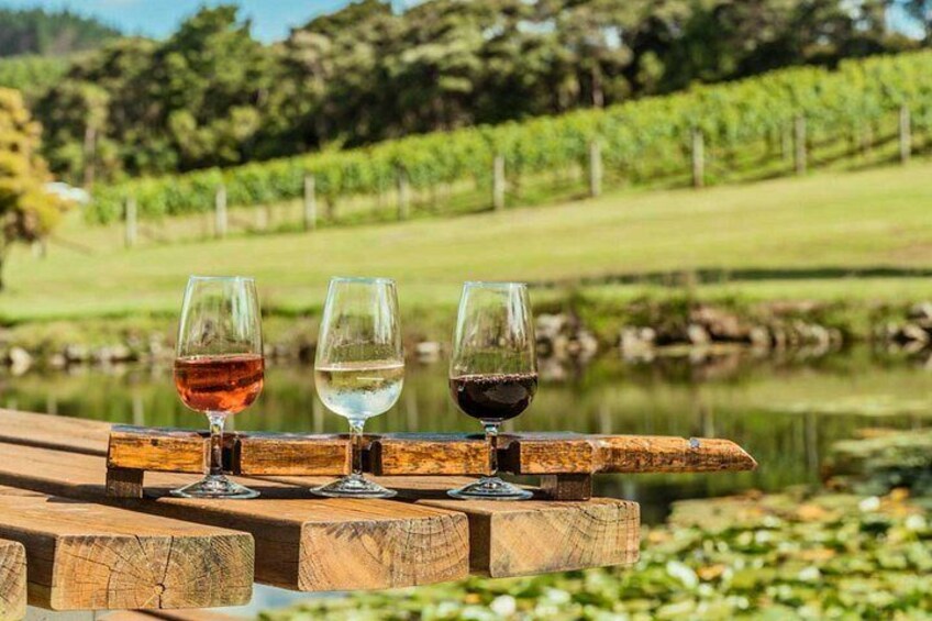 Private Half-Day Tour of Auckland's Wine Country - Vines out west 1