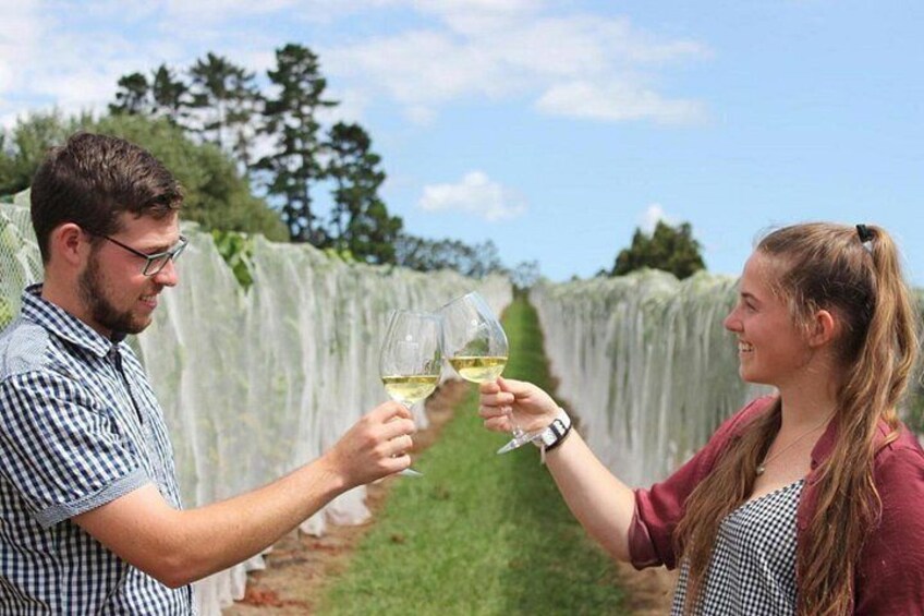 Private Half-Day Tour of Auckland's Wine Country - Vines out west 3