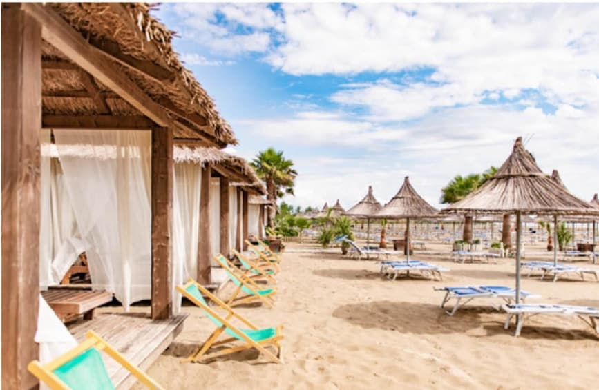 A beach with thatched-roof huts and rows of sun loungers. 5