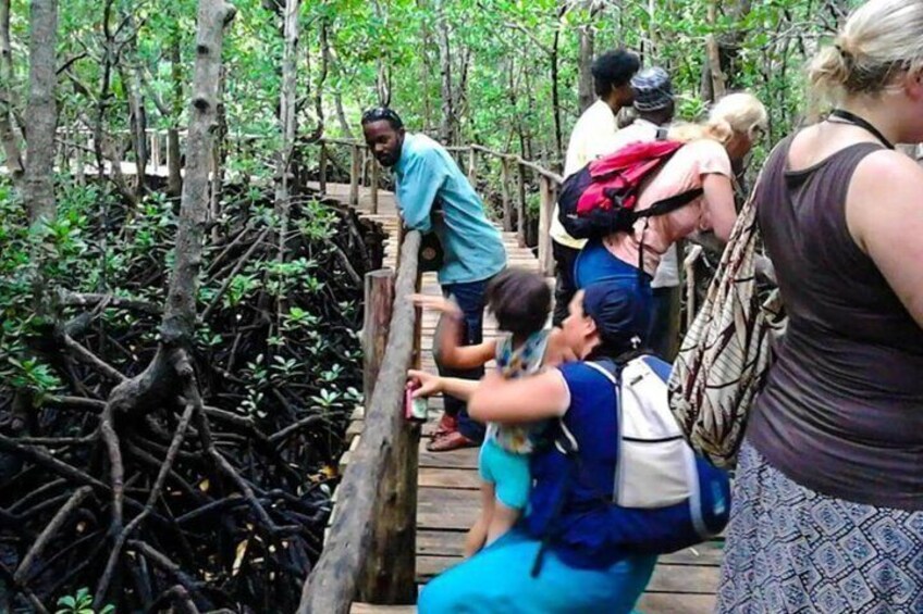 Folk på en træbro i en mangrove skov. 1