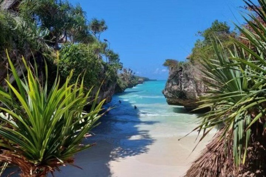 En strand med klart turkis vand, sandet bredde og frodig vegetation. 2