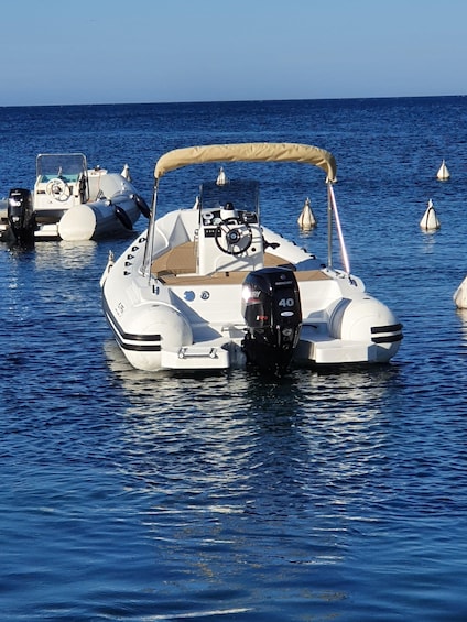 A row of white motorboats with canopies, anchored in calm blue waters. 2