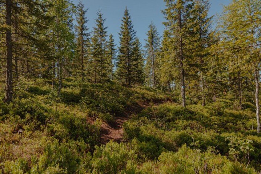 Private Summit Moments – Vettakollen’s Panoramic Oslo Views 2