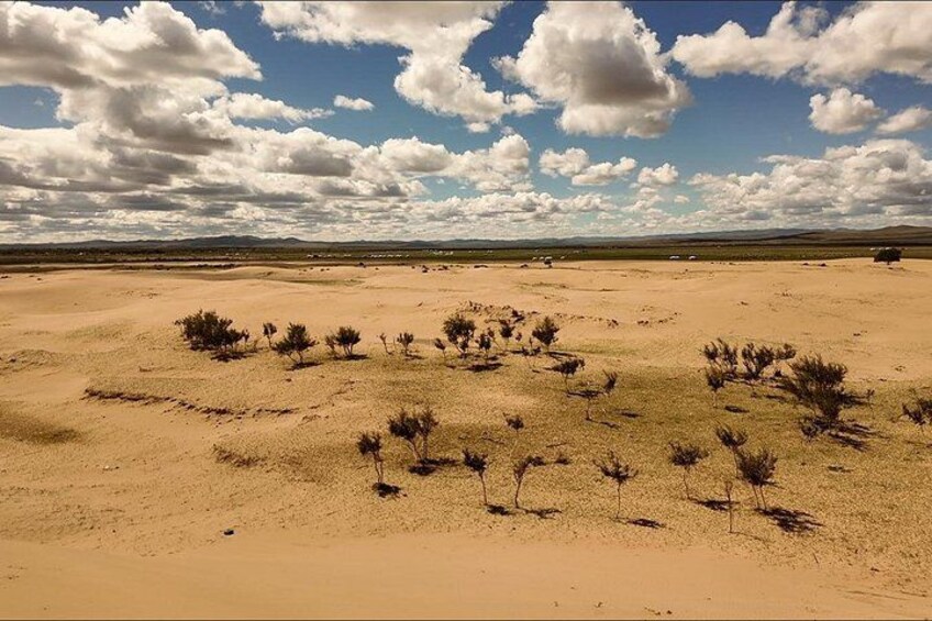 A desert landscape with sparse vegetation and a clear sky. 3