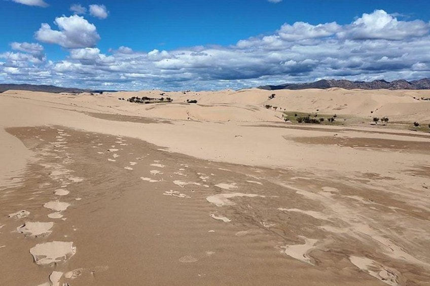 A desert landscape with sand dunes and sparse vegetation. 4