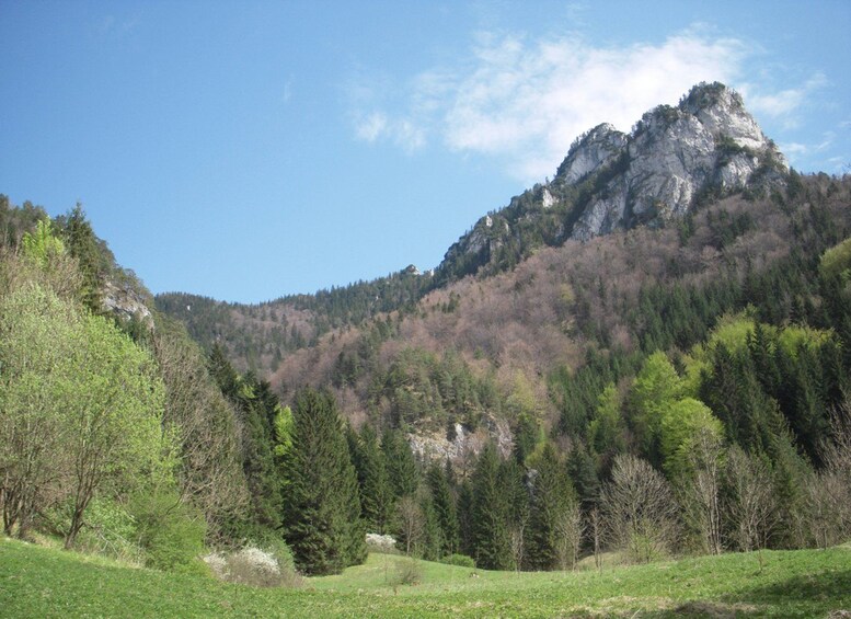 Un paisaje montañoso con un pico rocoso destacado, un bosque denso y un cielo azul despejado. 2