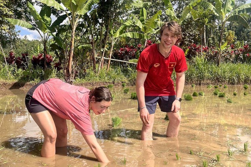 Zwei Personen bepflanzen ein überflutetes Feld mit Bananenstauden und tropischer Vegetation im Hintergrund. 1