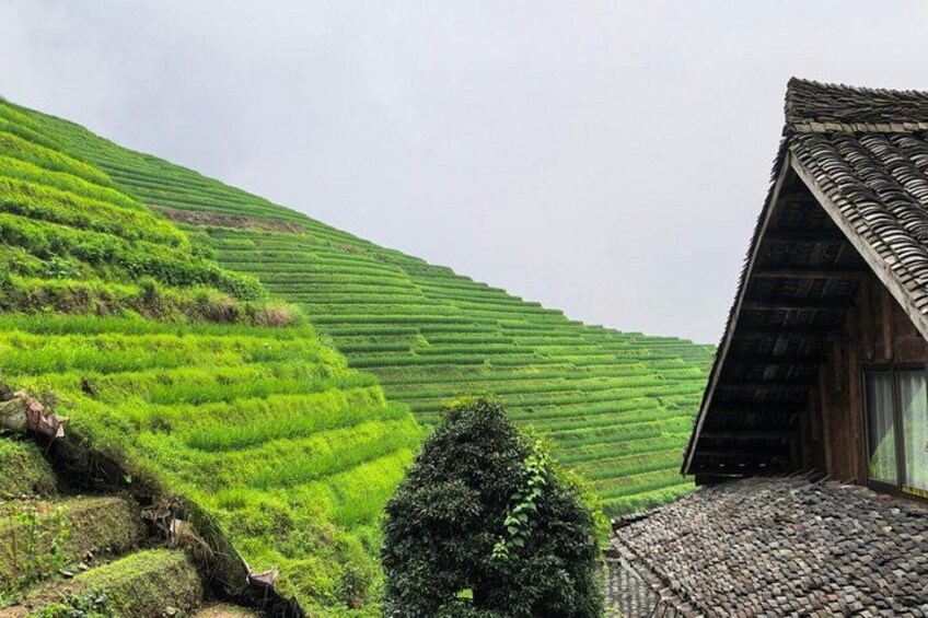 Terraced green fields, a traditional wooden building, and a stone pathway. 5