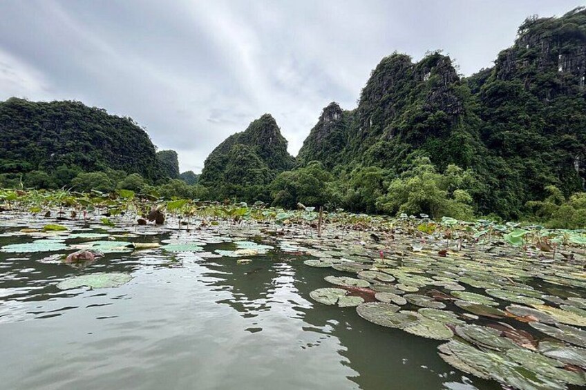 Private Ninh Binh Day Trip Bich Dong Tam Coc and Mua Cave 5