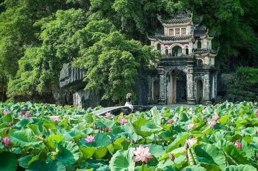 Private Ninh Binh Day Trip Bich Dong Tam Coc and Mua Cave 1