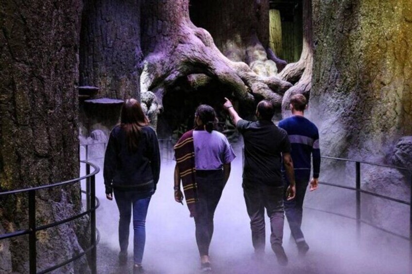 A group of people walking through a rocky cave with a large tree trunk. 4
