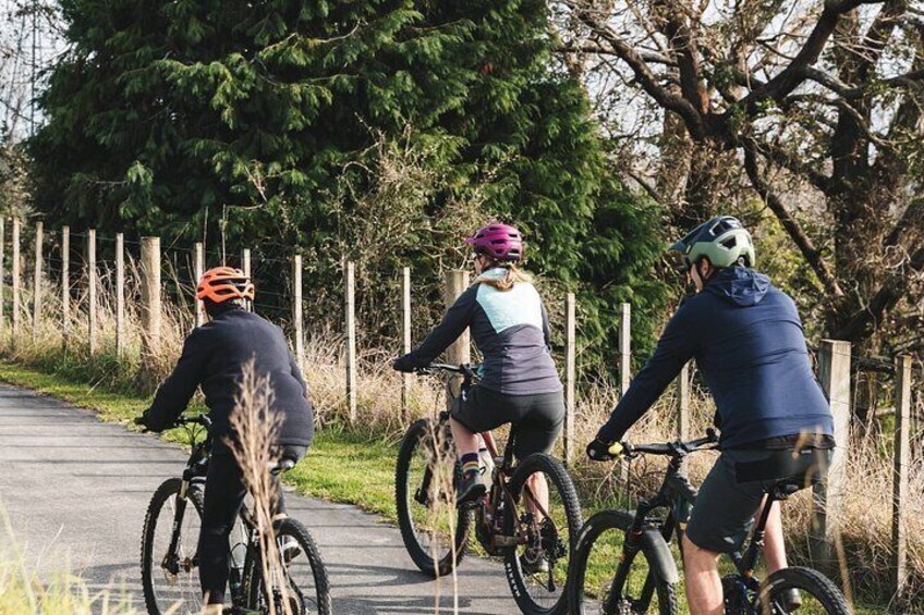 Half Day Guided Bike Tour Te Awa River Ride 2