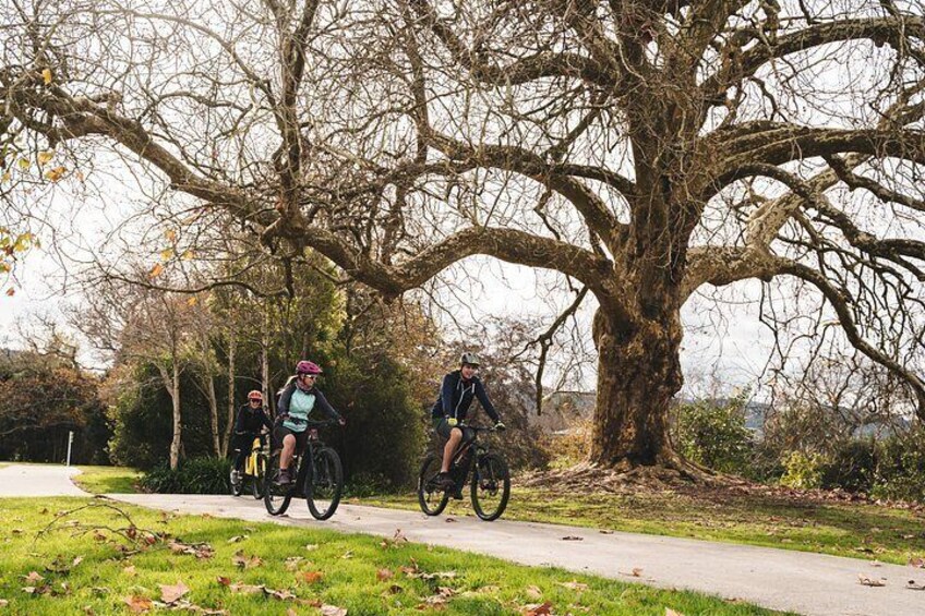 Half Day Guided Bike Tour Te Awa River Ride 4
