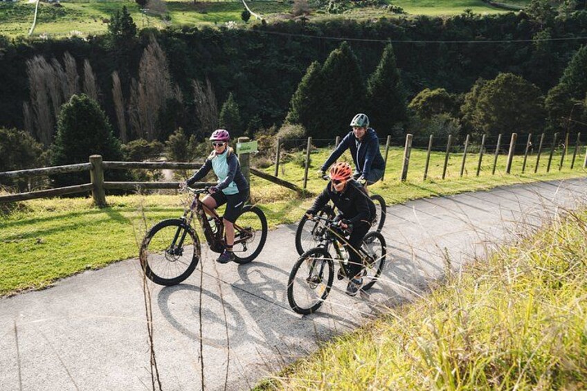 Half Day Guided Bike Tour Te Awa River Ride 1
