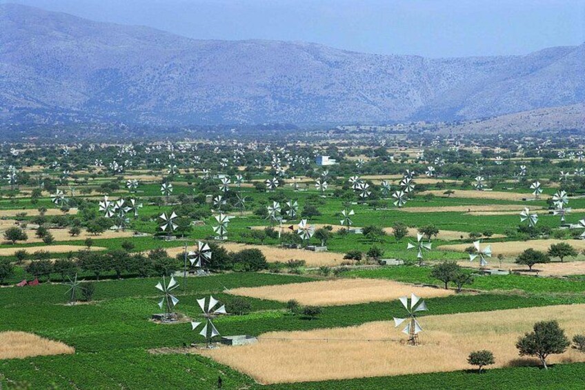 Zeus Cave Lasithi Plateau Krasi Village and Olive Oil Experience 3