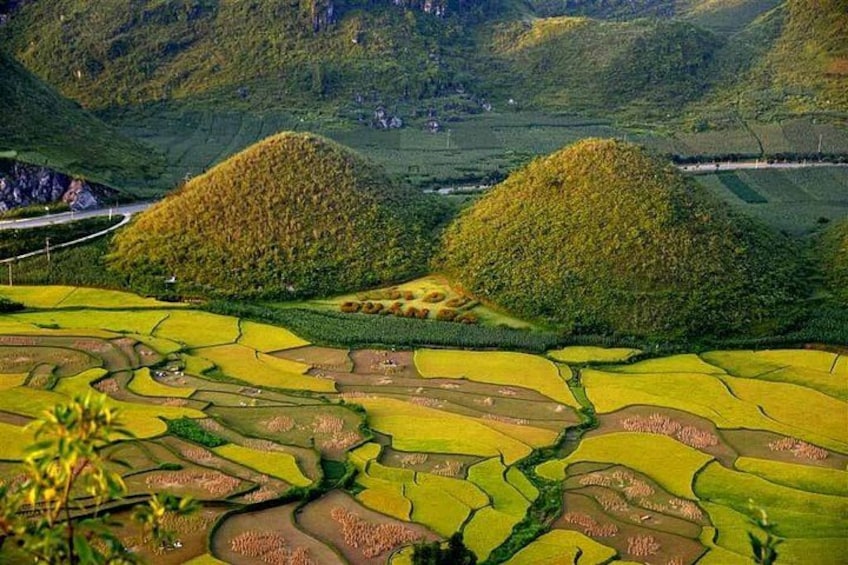 Terraced rice fields, rolling hills, and a winding road. 1