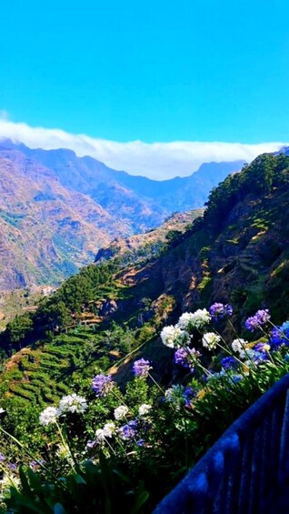 A mountainous landscape with lush greenery and wildflowers. 3