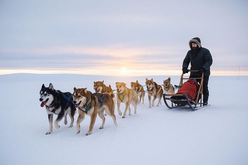 A person pulling a sled with dogs on a snowy landscape during sunset. 5