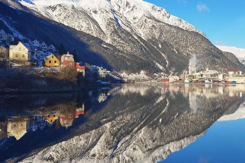 3Day from Bergen to Hardanger Sognefjord(or preikstolen), Oslo 5