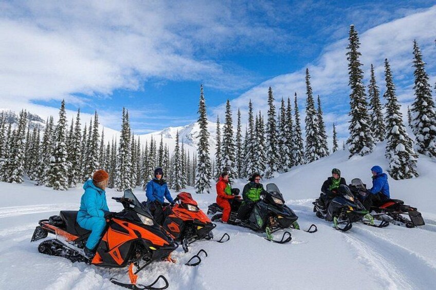 A group of people on snowmobiles in a snowy forest. 3