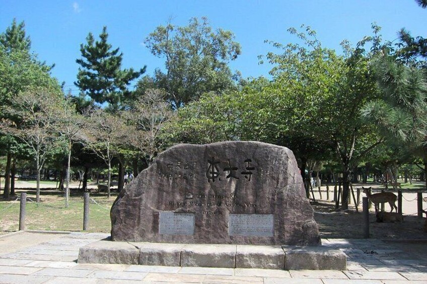 From Osaka: Kyoto and Nara Day Trip 2
