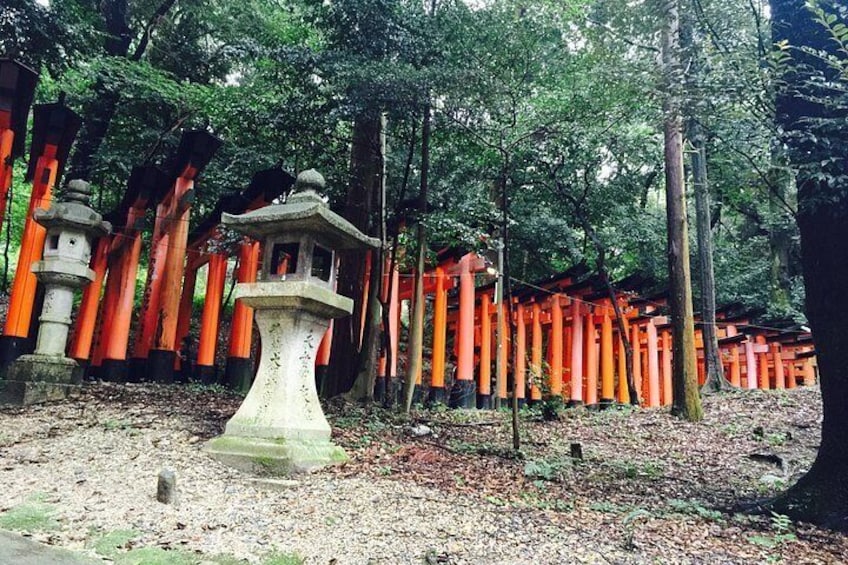From Osaka: Kyoto and Nara Day Trip 5