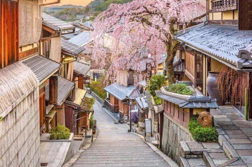 En traditionell japansk gata med trähus, en stenlagd gång och körsbärsblommor. 4
