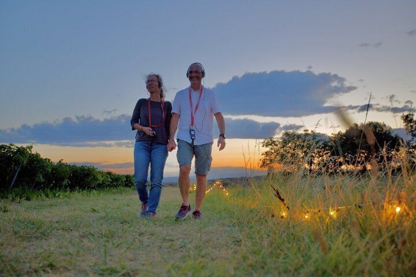 Two people walking on a grassy field with a sunset in the background. 5