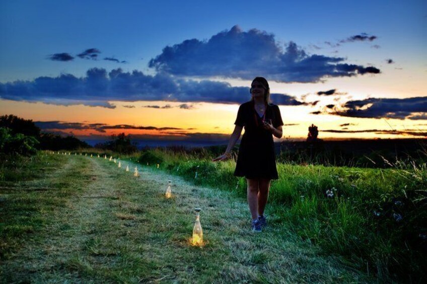 A person walking on a grassy path with lights leading towards a sunset. 4