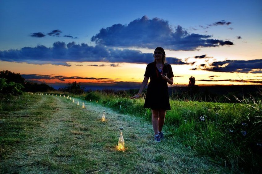 A person walking on a grassy path with lights in the distance. 4
