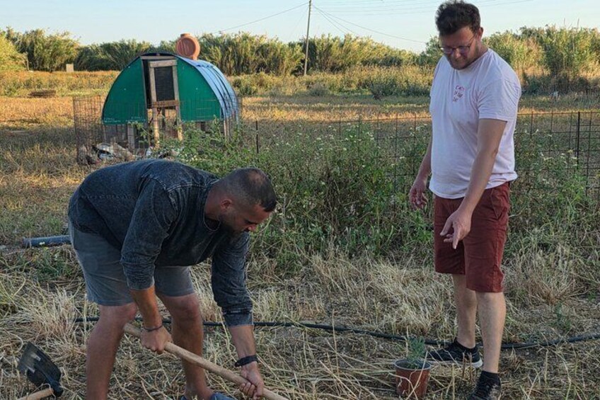 Zwei Personen arbeiten auf einem Feld mit Heuballen und einem grünen Gebäude im Hintergrund. 1