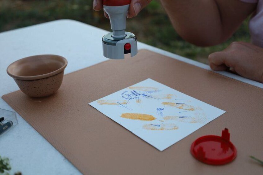 Herbal Experience with Planting and Sensory Walk 3
