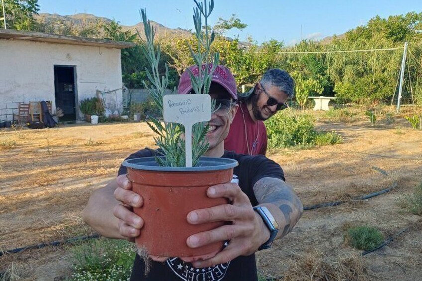 Herbal Garden Experience: Planting & Sensory Walk 1