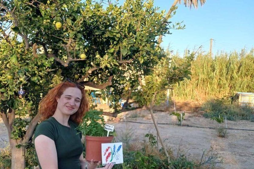 A person standing in front of a tree with green leaves and yellow fruits, holding a card with a drawing. 5