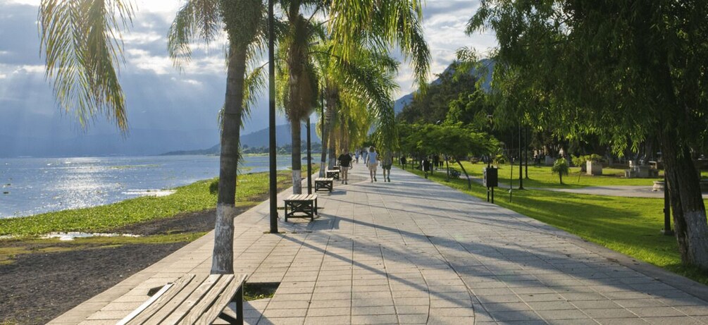 A coastal walkway with benches, palm trees, and a view of the sea. 1