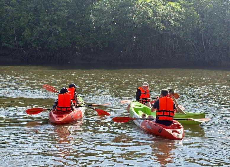 Four people kayaking on a calm river surrounded by dense forest. 2