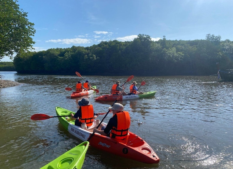 People kayaking on a calm river surrounded by trees. 4