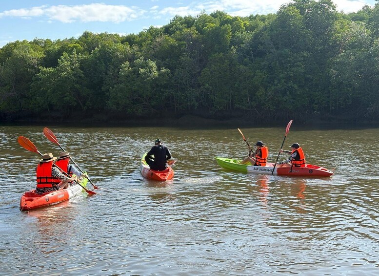 Three kayakers in a calm river surrounded by dense forest. 3