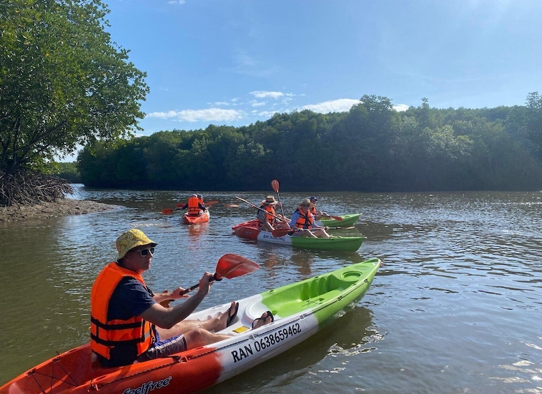 People kayaking on a river surrounded by trees. 1