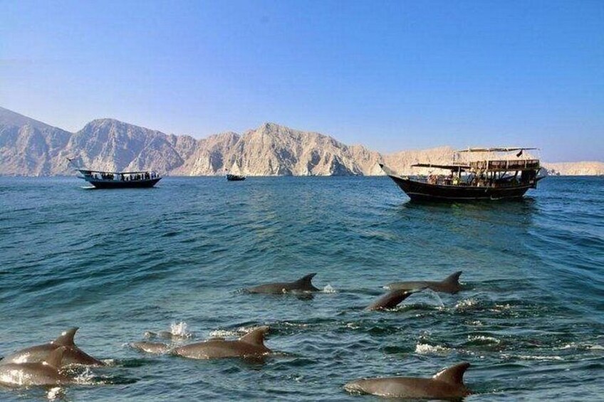 Khasab Musandam Full Day dhow cruise with lunch and Snorkeling 5
