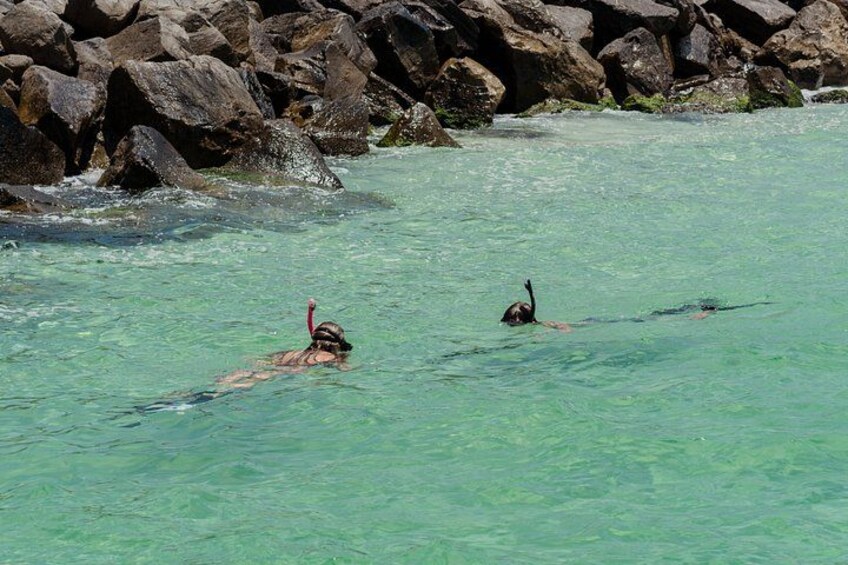 Private Crab Island, Snorkeling, and Dolphin Watching Adventure 2