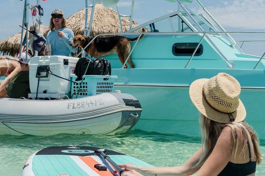 Private Crab Island, Snorkeling, and Dolphin Watching Adventure 3