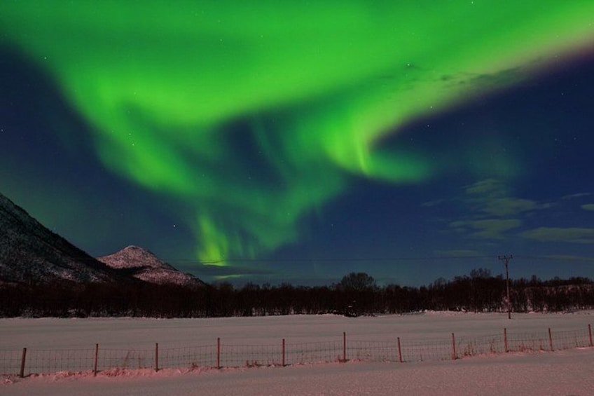 A snowy landscape with a fence, a mountain, and the northern lights. 4